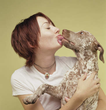 Dog Giving Kisses to Female Owner